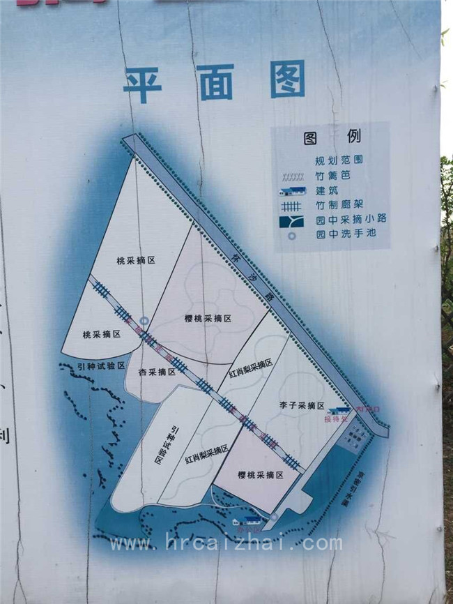 怀柔绿湖樱桃采摘园